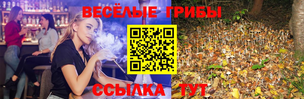 Галлюциногенные грибы GOLDEN TEACHER  Вход с VPN  Горно-Алтайск  купить наркотик  Псилоцибиновые грибы MAGIC MUSHROOMS 